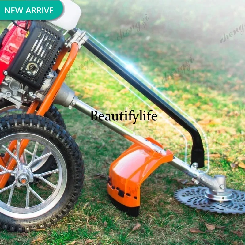 Mesin pemotong rumput dorong L - Power Tools Garden ulasan dan harga
